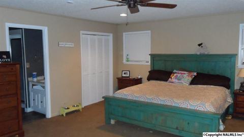 504 E 4th Ave, Glencoe, AL 35905 photo 24