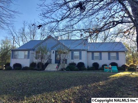 504 E 4th Ave, Glencoe, AL 35905 photo 2