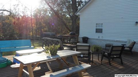 504 E 4th Ave, Glencoe, AL 35905 photo 39
