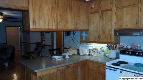 504 E 4th Ave, Glencoe, AL 35905 photo 18