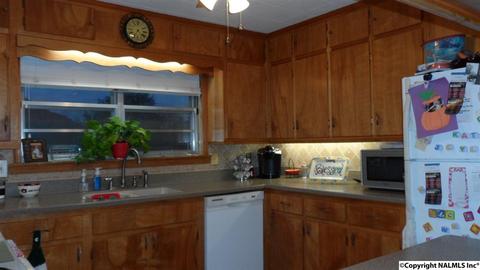 504 E 4th Ave, Glencoe, AL 35905 photo 17