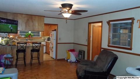 504 E 4th Ave, Glencoe, AL 35905 photo 20