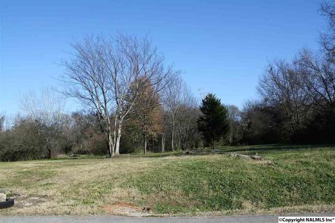816 Sewell Rd, Trinity, AL 35673 photo 7