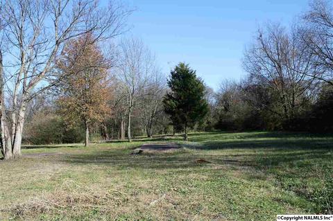 816 Sewell Rd, Trinity, AL 35673 photo 8