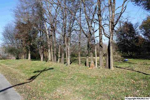 816 Sewell Rd, Trinity, AL 35673 photo 4