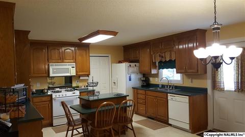 300 John Sutton Rd, Grant, AL 35747 photo 18