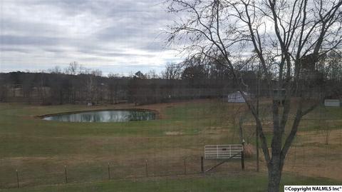 300 John Sutton Rd, Grant, AL 35747 photo 9