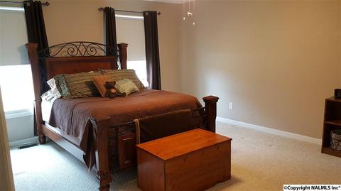 300 John Sutton Rd, Grant, AL 35747 photo 28