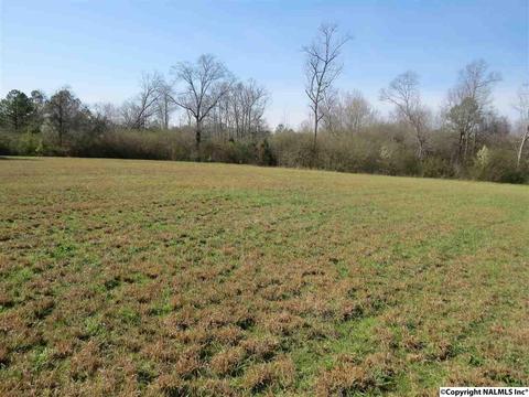 3548 County Road 66, Section, AL 35771 photo 26
