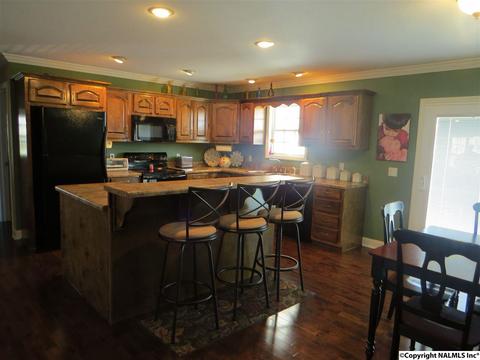 3548 County Road 66, Section, AL 35771 photo 9