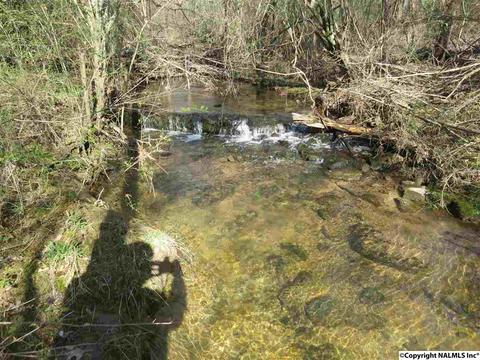 3548 County Road 66, Section, AL 35771 photo 21
