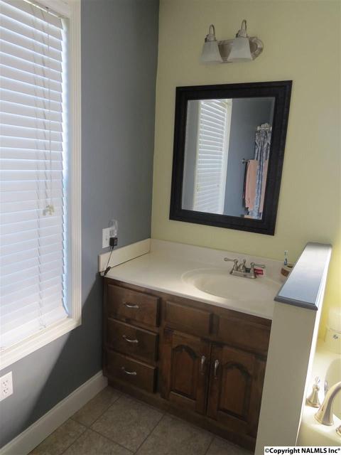 3548 County Road 66, Section, AL 35771 photo 13