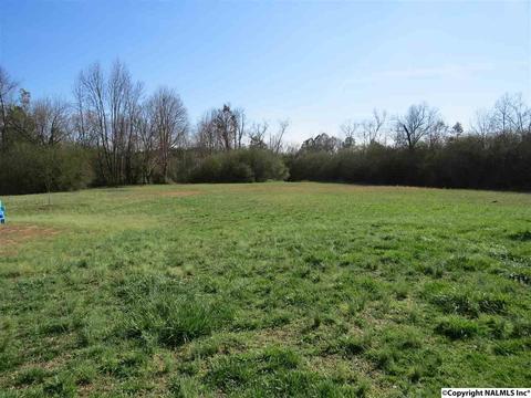 3548 County Road 66, Section, AL 35771 photo 24