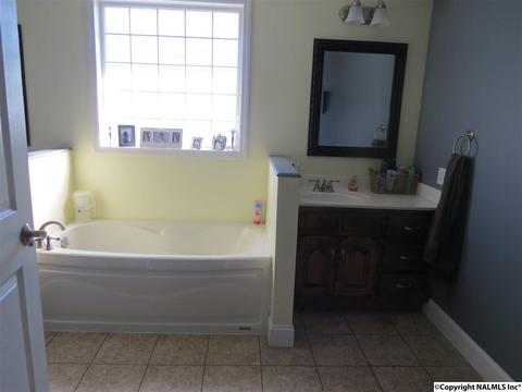 3548 County Road 66, Section, AL 35771 photo 14