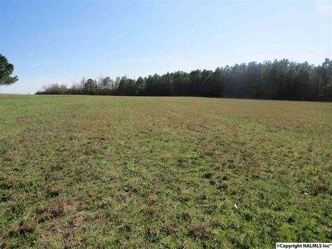 3548 County Road 66, Section, AL 35771 photo 25