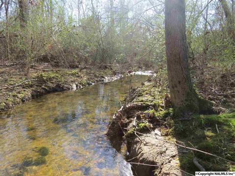 3548 County Road 66, Section, AL 35771 photo 22