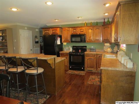 3548 County Road 66, Section, AL 35771 photo 8