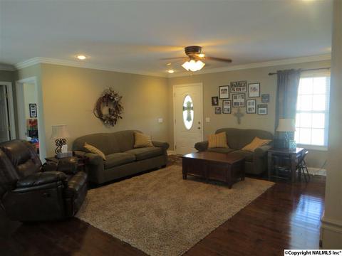 3548 County Road 66, Section, AL 35771 photo 4