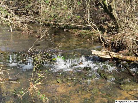 3548 County Road 66, Section, AL 35771 photo 23