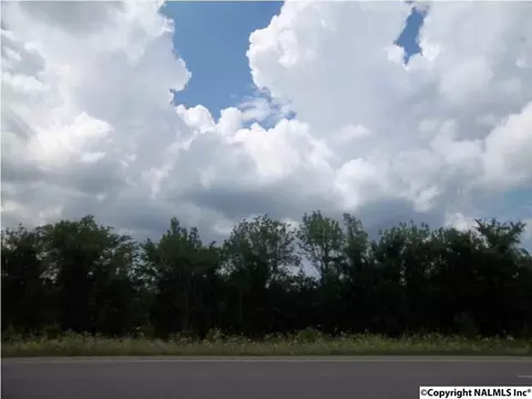 Alabama Highway 24, Trinity, AL 35673 photo 5