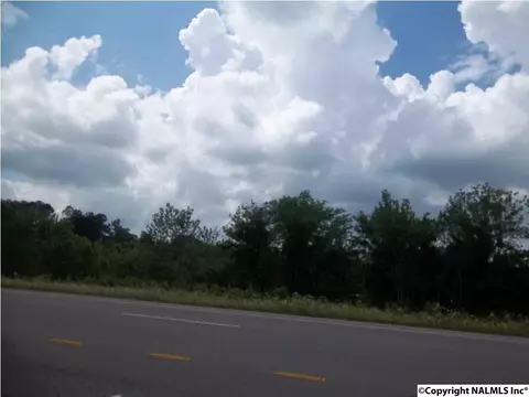 Alabama Highway 24, Trinity, AL 35673 photo 4