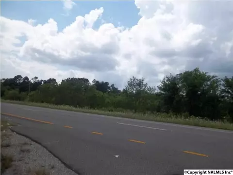 Alabama Highway 24, Trinity, AL 35673 photo 6