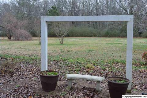 903 County Road 352, Trinity, AL 35673 photo 32