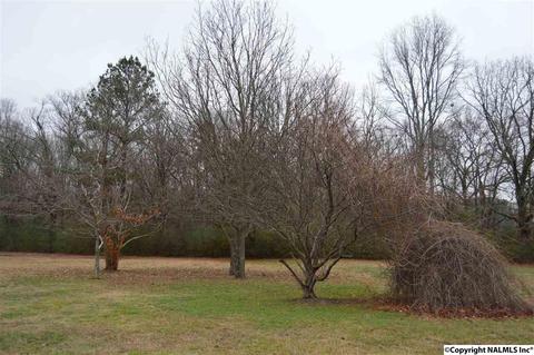 903 County Road 352, Trinity, AL 35673 photo 29