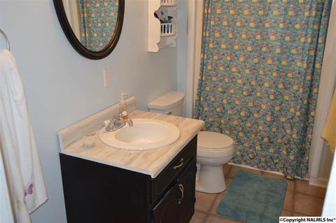 903 County Road 352, Trinity, AL 35673 photo 10