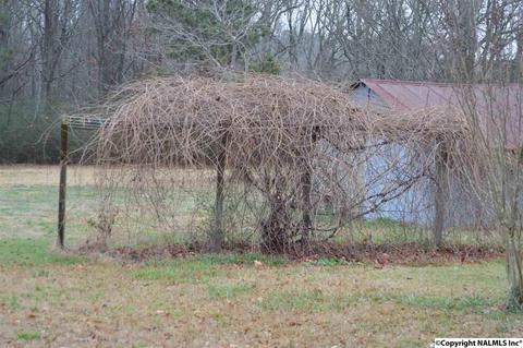 903 County Road 352, Trinity, AL 35673 photo 28