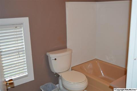 903 County Road 352, Trinity, AL 35673 photo 18