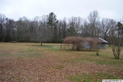 903 County Road 352, Trinity, AL 35673 photo 27
