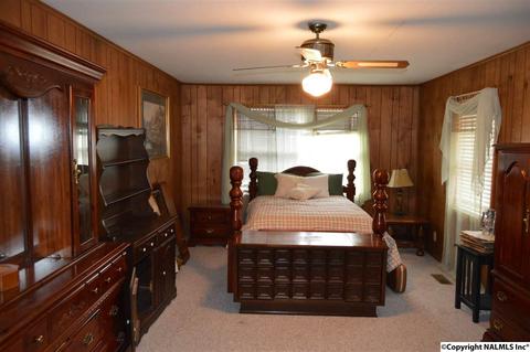 903 County Road 352, Trinity, AL 35673 photo 7