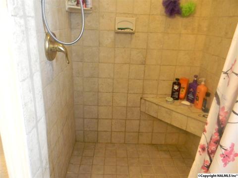 3787 E Upper River Rd, Somerville, AL 35670 photo 36