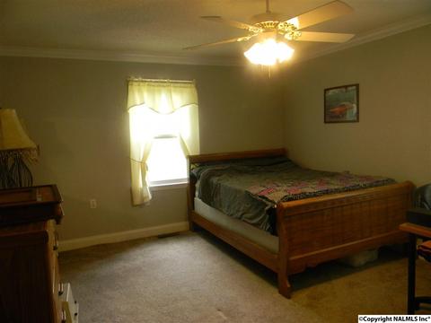 3787 E Upper River Rd, Somerville, AL 35670 photo 31