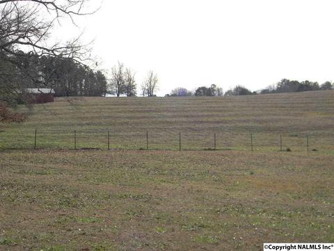 3787 E Upper River Rd, Somerville, AL 35670 photo 10