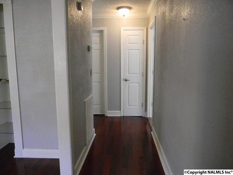 3787 E Upper River Rd, Somerville, AL 35670 photo 30