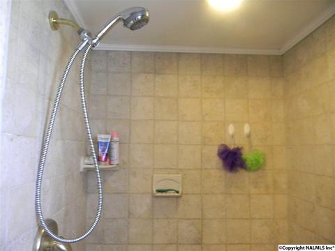 3787 E Upper River Rd, Somerville, AL 35670 photo 41
