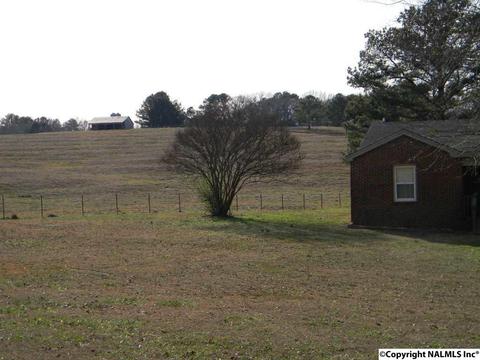 3787 E Upper River Rd, Somerville, AL 35670 photo 3