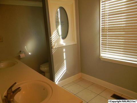 3787 E Upper River Rd, Somerville, AL 35670 photo 39
