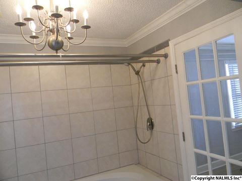 3787 E Upper River Rd, Somerville, AL 35670 photo 42