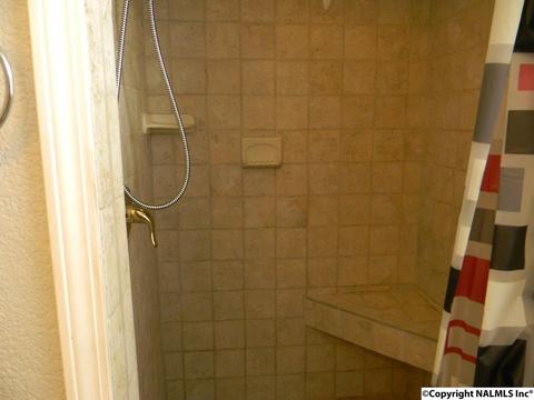 3787 E Upper River Rd, Somerville, AL 35670 photo 45