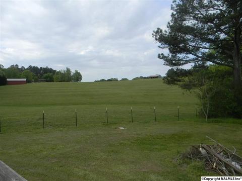 3787 E Upper River Rd, Somerville, AL 35670 photo 7