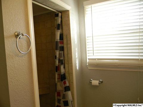 3787 E Upper River Rd, Somerville, AL 35670 photo 47