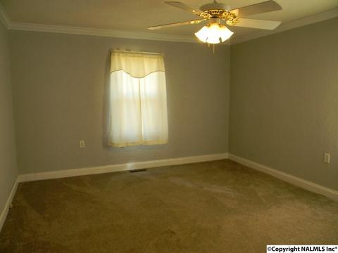 3787 E Upper River Rd, Somerville, AL 35670 photo 44
