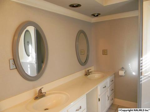 3787 E Upper River Rd, Somerville, AL 35670 photo 37