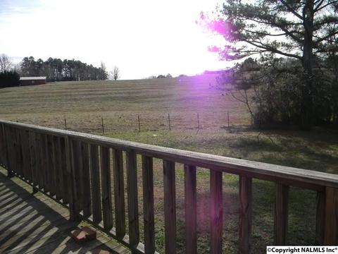 3787 E Upper River Rd, Somerville, AL 35670 photo 5