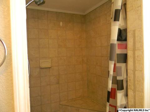 3787 E Upper River Rd, Somerville, AL 35670 photo 46