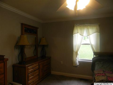 3787 E Upper River Rd, Somerville, AL 35670 photo 20