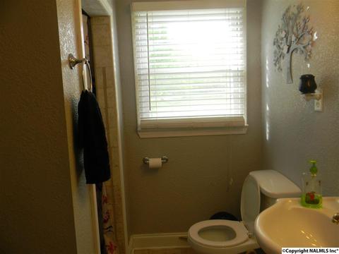 3787 E Upper River Rd, Somerville, AL 35670 photo 35